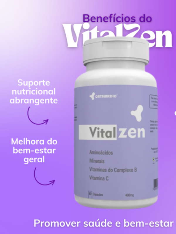 Vitalzen – O melhor aliado para recuperar o bem-estar