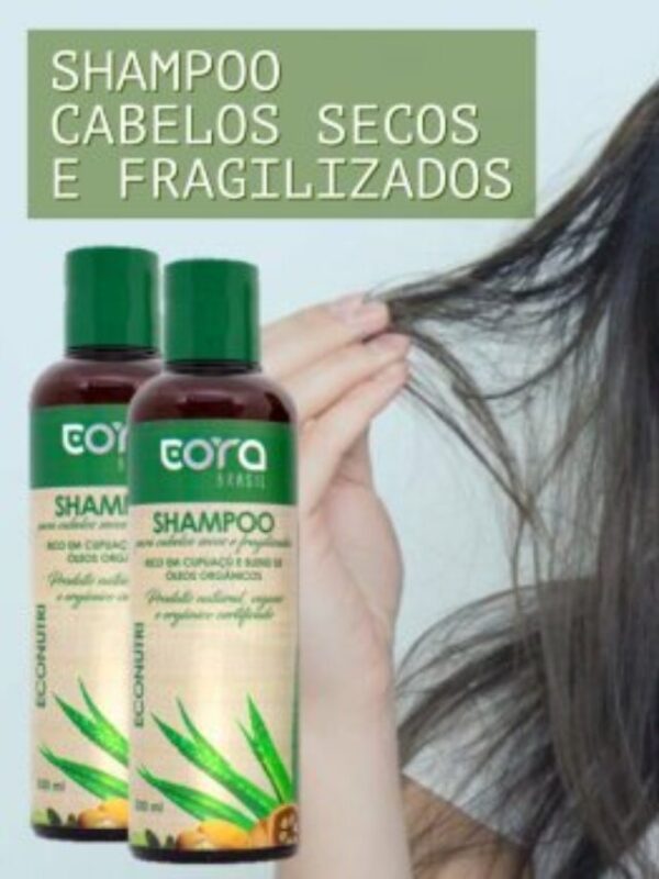 Shampoo natural para cabelos secos e fragilizados