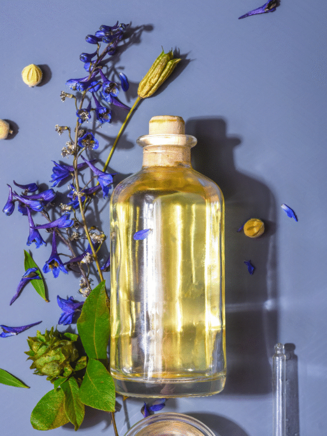 Conheça os óleo naturais de plantas especiais!